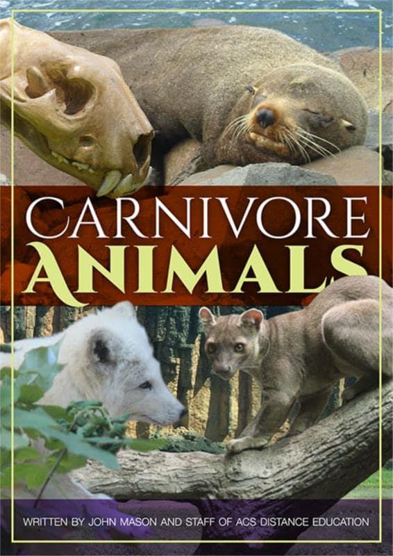 Carnivore Animals PDF eBook