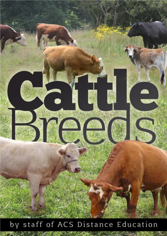 Cattle Breeds- PDF Ebook