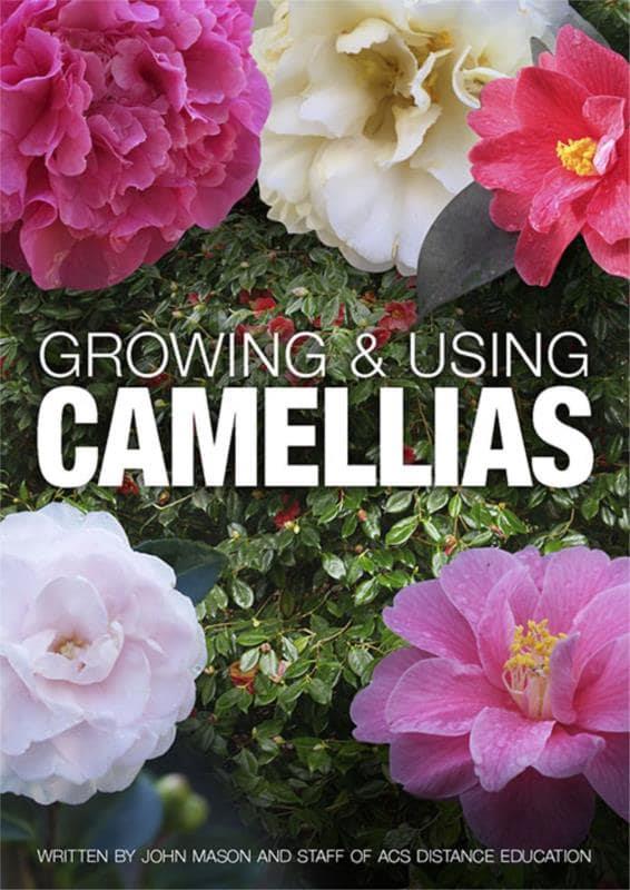 Growing and Using Camellias