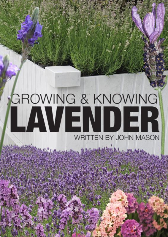 Growing & Knowing Lavender- PDF Ebook