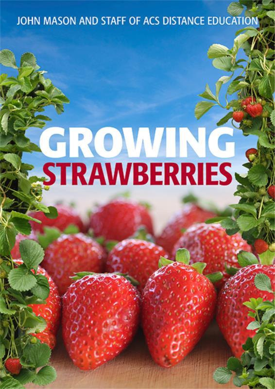 Growing Strawberries - PDF ebook