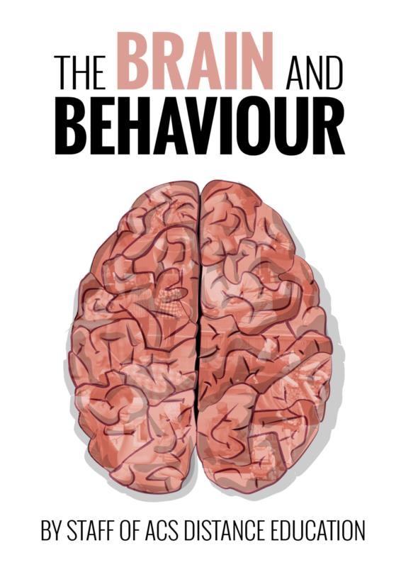 The Brain and Behaviour- PDF Ebook